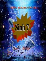 Giáo án điện tử môn môn sinh học: ôn tập sinh học lớp 7 pdf