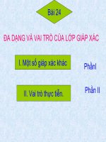 Bài giảng điện tử môn sinh học: lớp giáp xác doc