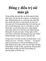 Ðông y điều trị sùi mào gà potx