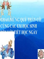 Bài giảng điện tử môn sinh học: tìm hiểu một số động vật potx