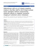 Báo cáo hóa học: 