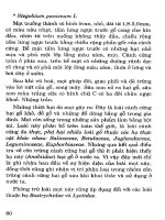 Phương pháp phòng chóng mọt part 5 pot