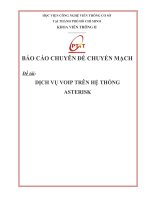 dịch vụ voip trên hệ thống asterisk