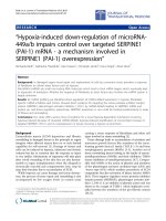 Báo cáo hóa học: 