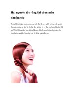 Hai nguyên tắc vàng khi chọn màu nhuộm tóc pdf