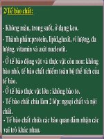 Bài giảng điện tử môn sinh học: tế bào chất pdf