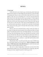 Phân tích tình hình tài chính công ty TNHH thương mại và thực phẩm hoàng gia