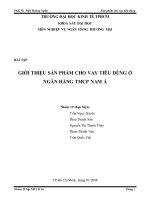 Giới thiệu sản phẩm cho vay tiêu dùng ở ngân hàng TMCP nam á