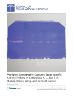 Báo cáo sinh học: 