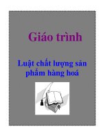 Giáo trình: Luật chất lượng sản phẩm hàng hoá potx