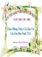 Giáo án điện tử môn môn sinh học: Môi trường sống của sinh vật pptx