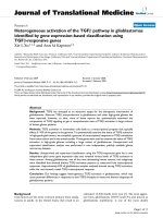 báo cáo hóa học: