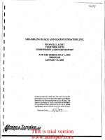 AUDIT TOGETHER WITH INDEPENDENT AUDITORS* REPORT FOR THE PERIOD JULY potx