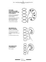 Cachier d urologie - part 5 pdf