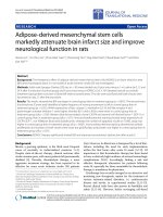 Báo cáo hóa học: 