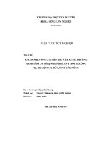 luận văn xác định lượng co2 hấp thụ của rừng thường xanh làm cơ sở đnnh giá dịch vụ môi trường tại huyện tuy đức tỉnh đăk nông