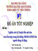 nghiên cứu kỹ thuật tiền mã hóa zero-forcing trong hệ thống mimo – ofdm đa người dùng di dộng