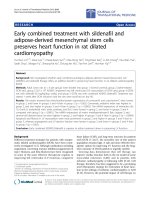 Báo cáo hóa học: 