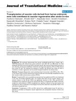 báo cáo hóa học: