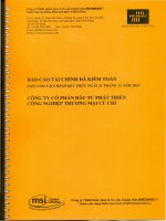 Báo cáo tài chính công ty cổ phần đầu tư phát triển công nghiệp thương mại Củ Chi_Năm tài chính kết thúc ngày 31 tháng 12 năm 2010 pptx