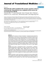 báo cáo hóa học: