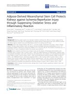 Báo cáo sinh học: 