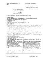 giáo án nghề trồng lúa pptx