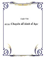 Chuyên đề kinh tế học docx