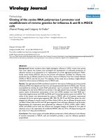 Báo cáo sinh học: 