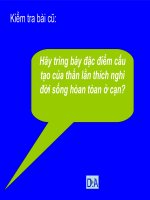 Bài giảng điện tử môn sinh học: cấu tạo của thằn lằn pdf