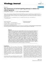 Báo cáo sinh học: 