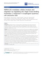 Báo cáo sinh học: 