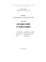 chuyên đề vấn đề thi công cọc nhồi