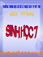 Bài giảng điện tử môn sinh học: vai trò của động vật nguyên sinh doc