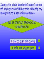 Bài giảng điện tử môn sinh học: cấu tạo trong của chim bồ câu pptx