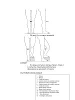 Techniques de manipulations en radiologie medicale - part 9 doc