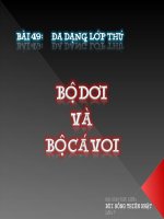 Bài giảng điện tử môn sinh học: Bộ dơi và bộ cá voi pptx