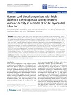 Báo cáo hóa học: 