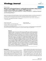 Báo cáo sinh học: 