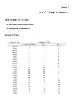 Chương 2: Các kiểu dữ liệu thao tác ppt