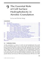 Wastewater Purification: Aerobic Granulation in Sequencing Batch Reactors - Chapter 9 pdf