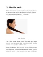 Từ điển chăm sóc tóc doc