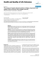 báo cáo hóa học: 