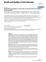 báo cáo hóa học: 