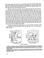 Cơ sở sinh thái học part 2 ppt