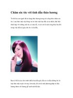 Chăm sóc tóc với tinh dầu thảo hương pot