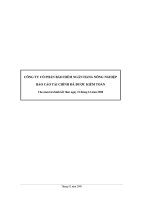 Báo cáo tài chính công ty cổ phần bảo hiểm ngân hàng nông nghiệp_Năm tài chính kết thúc ngày 31 tháng 12 năm 2008 ppt