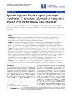 Báo cáo hóa học: 