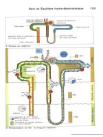 Atlas de poche de physiologie - part 5 ppt