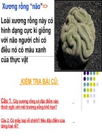 Bài giảng điện tử môn sinh học: Trắc nghiệm sinh học pptx